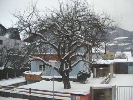 IMGP5271