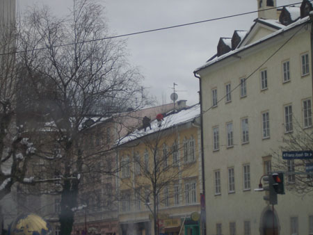 IMGP5273