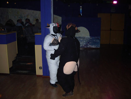 IMGP5366