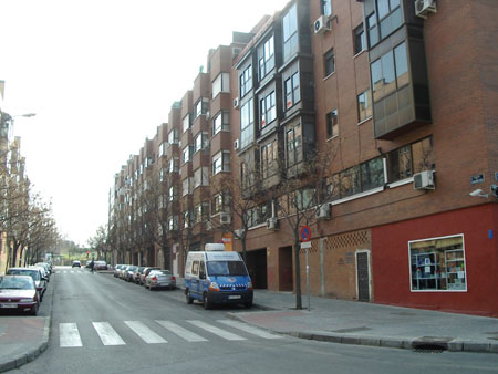 IMGP5384