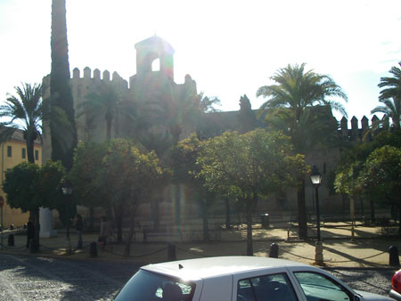 IMGP5409