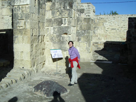 IMGP5443