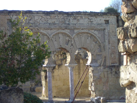 IMGP5450