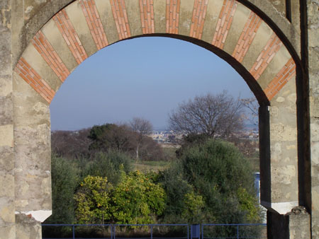 IMGP5459