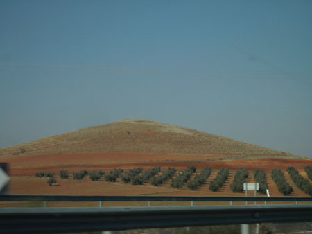 IMGP5475