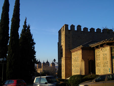 IMGP5541