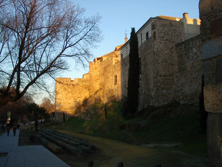 IMGP5549