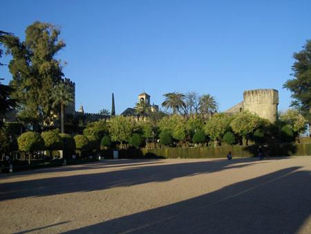 IMGP5617