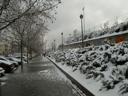 IMGP5625