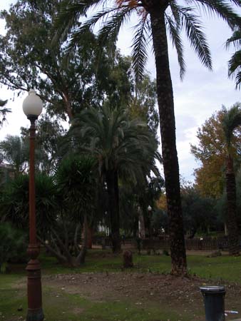 IMGP4835